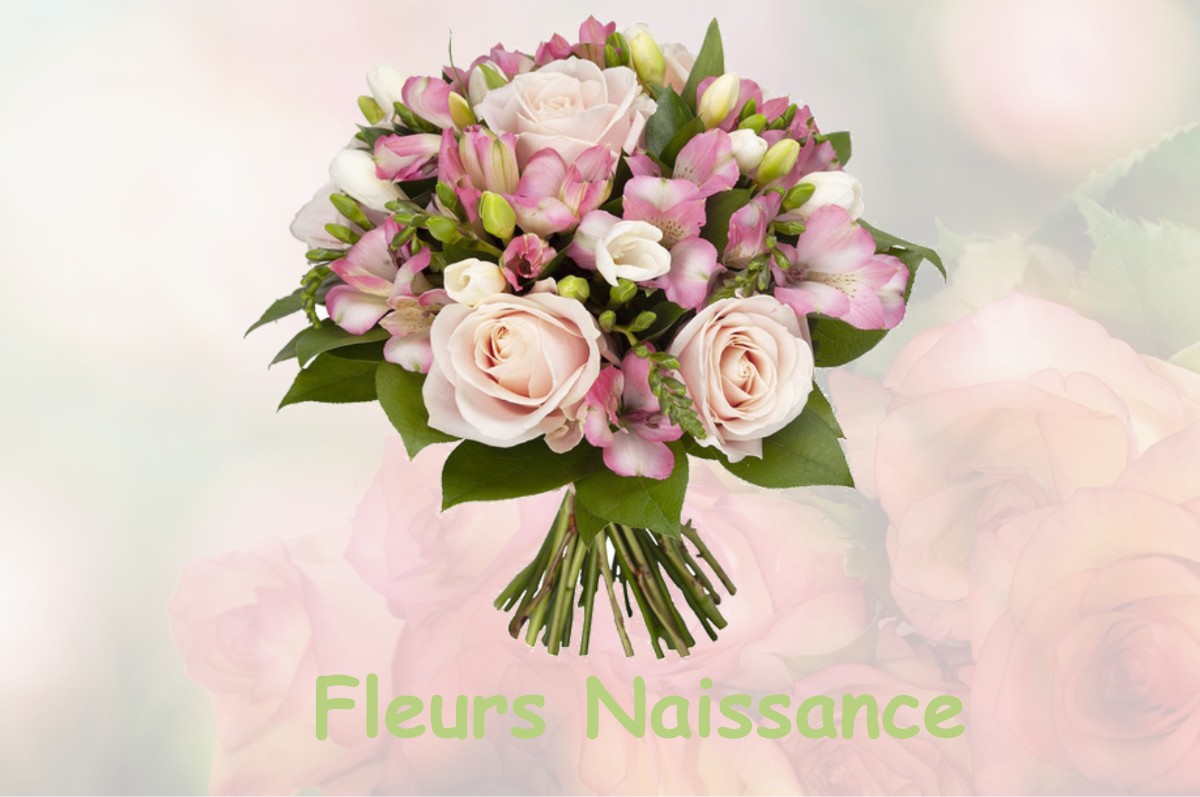 fleurs naissance SAINT-MARCET