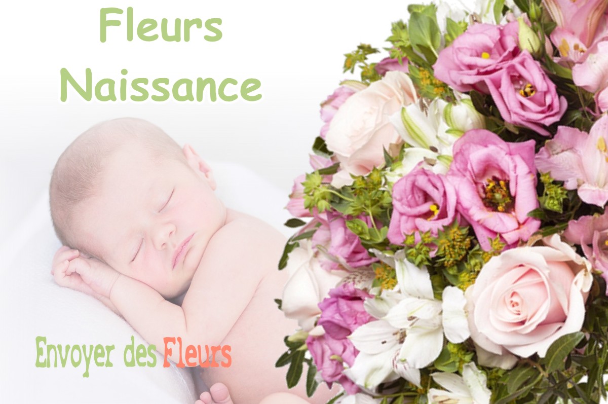 lIVRAISON FLEURS NAISSANCE à SAINT-MARCET